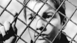 The 400 Blows